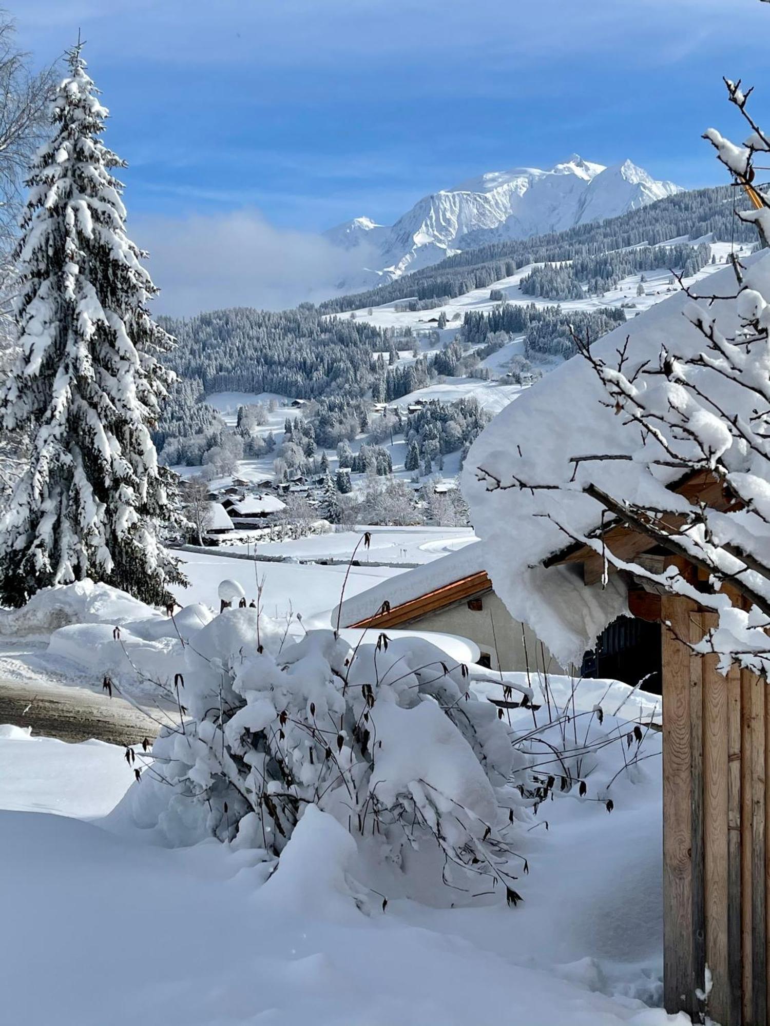 Chalet A Megeve-Vauvray - Grands Appartements , Vue Mont Blanc Demi-Quartier 외부 사진