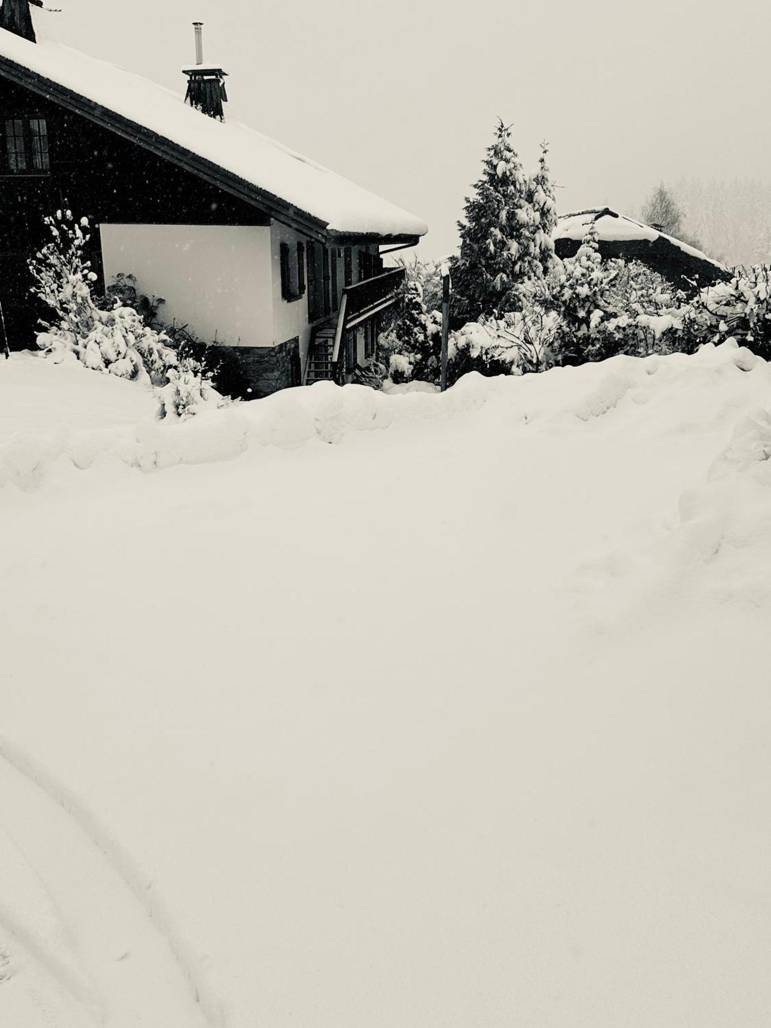 Chalet A Megeve-Vauvray - Grands Appartements , Vue Mont Blanc Demi-Quartier 외부 사진